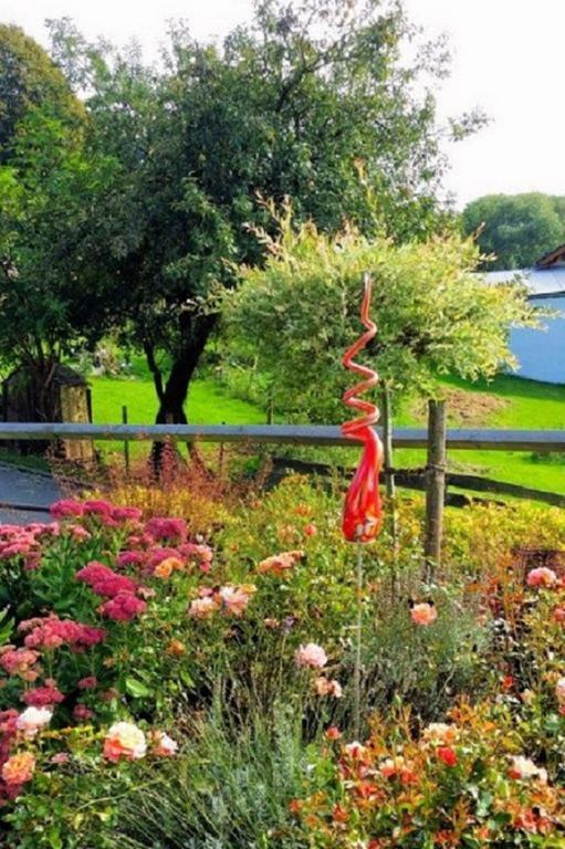 Wellness Ferienwohnungen Zellertalblick Drachselsried Εξωτερικό φωτογραφία
